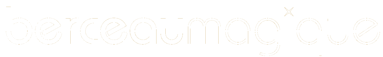 Logo Berceau Magique